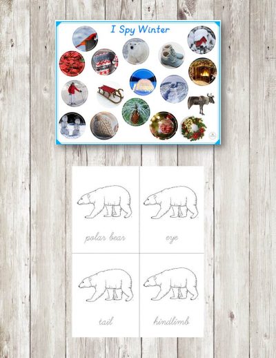 Winter Kindergarten Hands On Activity Pack - Montessori Nature