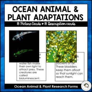Ocean Biome Animal Plant Adaptations Research Forms