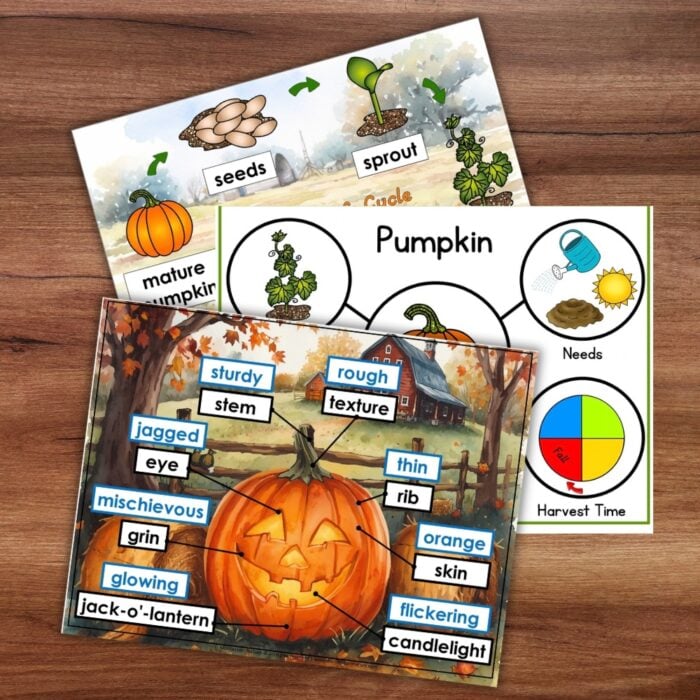 Parts of a Pumpkin Life Cycle Activities educational worksheets detailing the pumpkin life cycle, plant needs, and a diagram labeling the parts of a pumpkin. Montessori Nature Printable