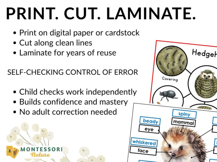 Parts of a Hedgehog Life Cycle Activities including instructions for printing, cutting, and laminating self-checking cards and worksheets detailing hedgehog anatomy. Montessori Nature Printable