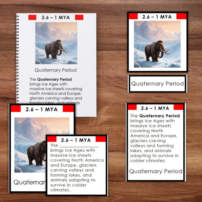 Five Cenozoic Era Timeline Second Great Lesson Earth History 5 Part Cards, each featuring a mammoth image and concise information about the Quaternary Period, are displayed on a wooden surface—perfect for exploring Earth’s history during the Cenozoic Era. Montessori Nature Printable