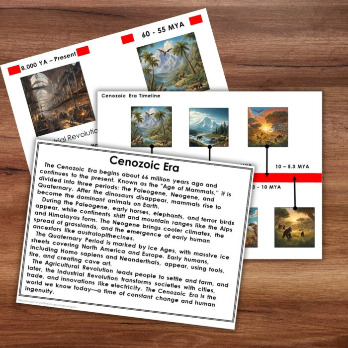 The Cenozoic Era Timeline Second Great Lesson Earth History 5 Part Cards is a set of educational materials that includes a detailed timeline, images of animals, and an informative text card to teach about Earth History in the Cenozoic Era. Montessori Nature Printable