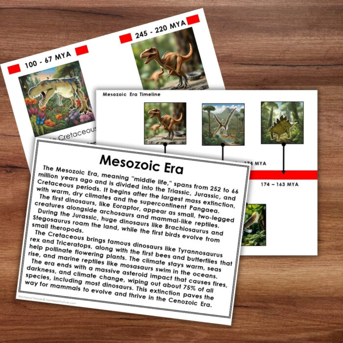 Mesozoic Era Timeline Second Great Lesson Earth History 5 Part Cards - Image 7