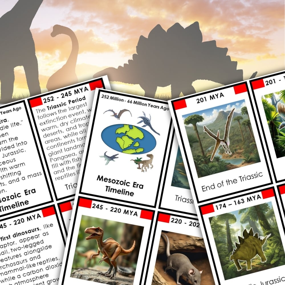 Mesozoic Era Timeline Second Great Lesson 3-Part Cards Vocabulary includes educational worksheets and cards with dinosaur illustrations, vocabulary activities, silhouettes, and facts about the Mesozoic Era and prehistoric timelines. Montessori Nature Printables