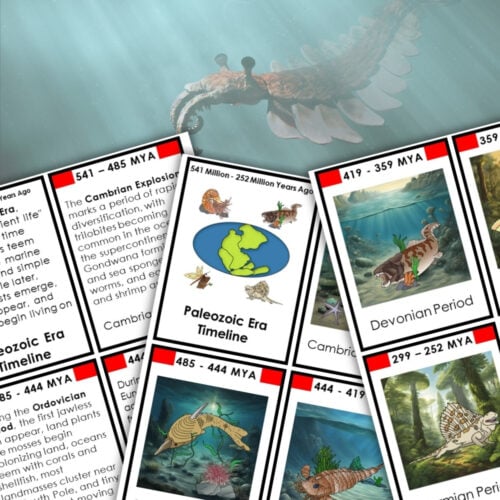 The Paleozoic Era Timeline Second Great Lesson 3-Part Cards Vocabulary offers science worksheets with timelines, vocabulary, prehistoric animal illustrations, and ancient landmass maps—all set with an aquatic prehistoric creature background. Montessori Nature Printables