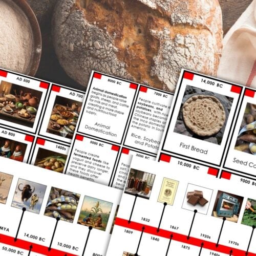 Food History Timeline: Fundamental Need—a collage featuring clay pots, illustrated timelines with key dates, and text tracing the evolution of cooking from ancient history to modern times. Montessori Nature Printables