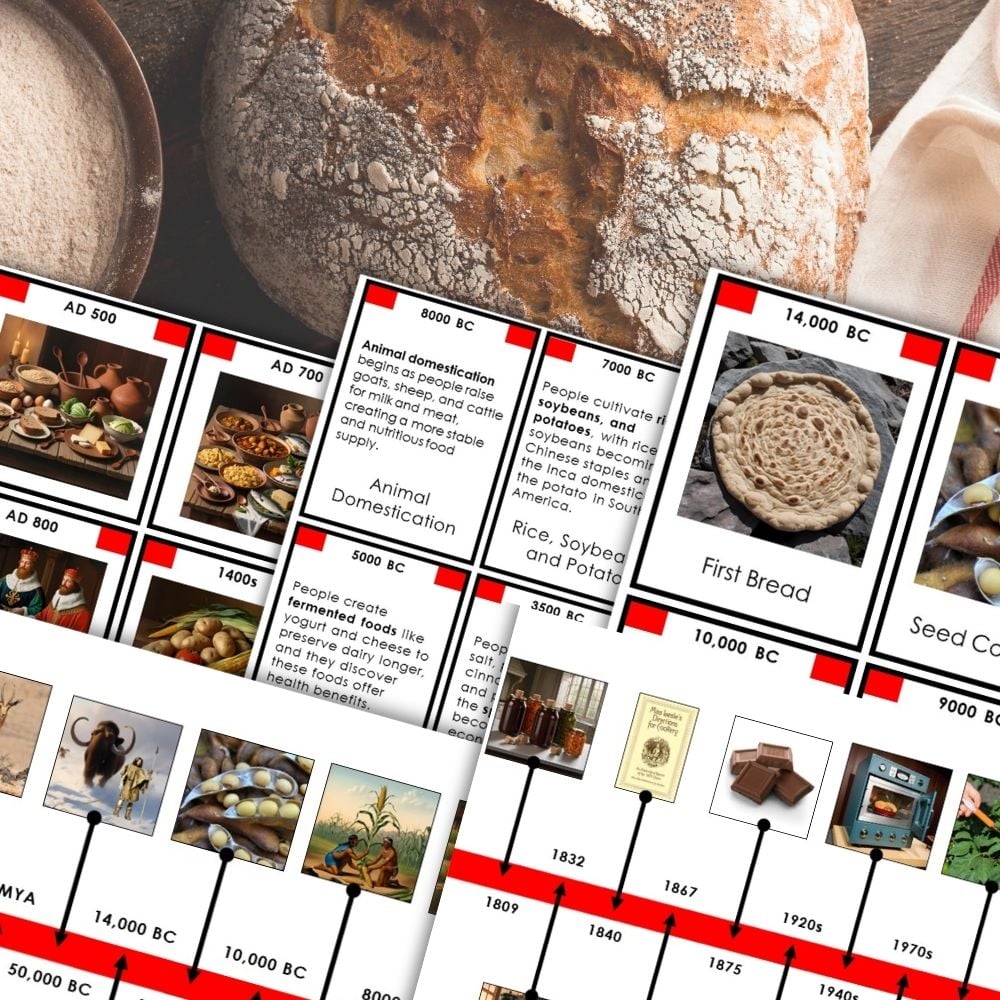 Food History Timeline: Fundamental Need—a collage featuring clay pots, illustrated timelines with key dates, and text tracing the evolution of cooking from ancient history to modern times. Montessori Nature Printables