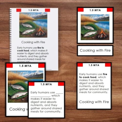 Food History Timeline: Fundamental Need—a collage featuring clay pots, illustrated timelines with key dates, and text tracing the evolution of cooking from ancient history to modern times. Montessori Nature Printables