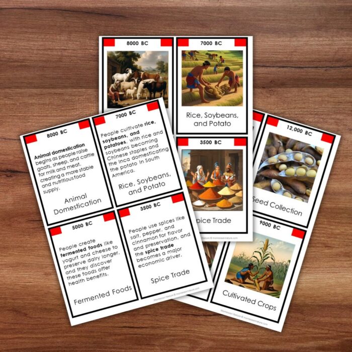 Food History Timeline: Fundamental Need—a collage featuring clay pots, illustrated timelines with key dates, and text tracing the evolution of cooking from ancient history to modern times. Montessori Nature Printables