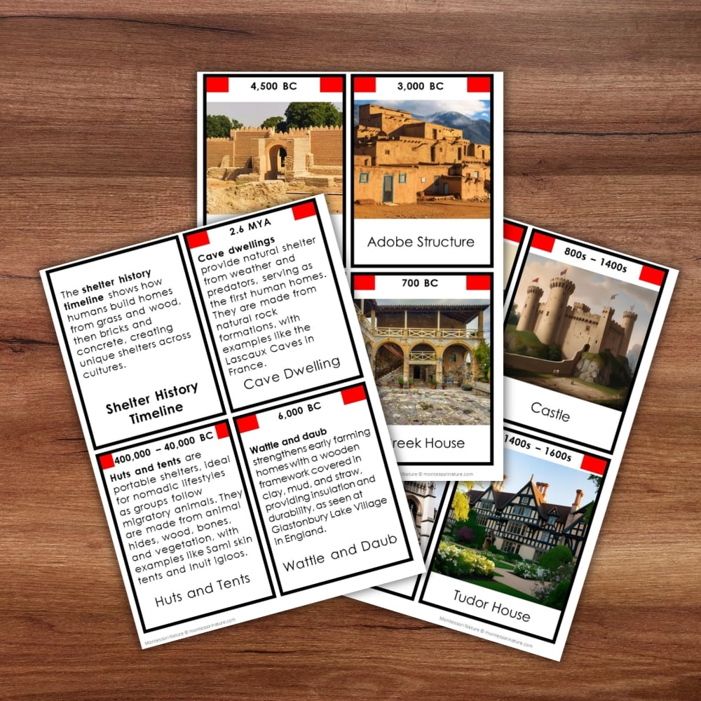Shelter History Timeline: 5 Part Cards features five beautifully illustrated cards that showcase the history of shelter through a timeline of historical house types—including cave dwellings, adobe structures, Greek houses, castles, and more—artfully arranged on a wooden surface. Montessori Nature Printable