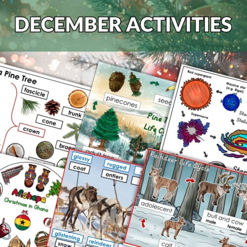 A collage of educational worksheets with Christmas and winter themes, reindeer, pine trees, and a red "BUNDLE OFFER" banner highlights the December Bundle. Festive decorations set a seasonal mood for this engaging resource. Montessori Nature Printables