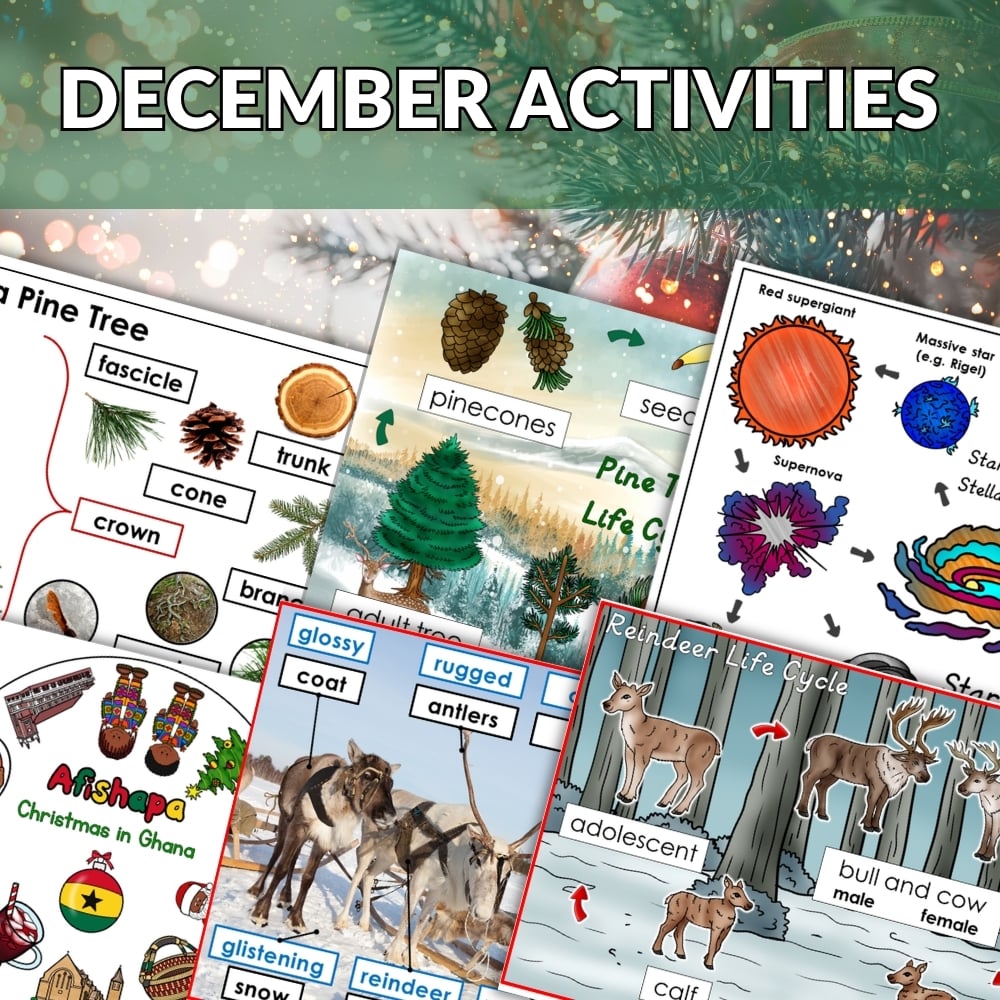 A collage of educational worksheets with Christmas and winter themes, reindeer, pine trees, and a red "BUNDLE OFFER" banner highlights the December Bundle. Festive decorations set a seasonal mood for this engaging resource. Montessori Nature Printables