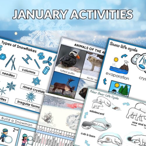Collage of Arctic educational worksheets—animal photos, life cycles, snowflake diagrams, snowman crafts—with a red "January Bundle" offer banner. Montessori Nature Printables