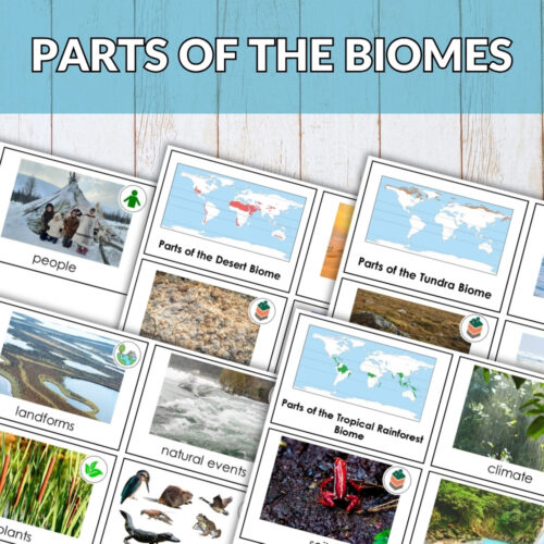 Parts of the Biomes Bundle: Educational flashcards featuring maps, photos, and labels for various biomes—desert, tundra, tropical rainforest. A "BUNDLE OFFER" banner in the top left highlights this comprehensive set. Montessori Nature Printables