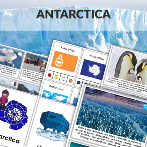 A collage of educational materials and activity cards about Antarctica, featuring maps, animals, landmarks, and facts, labeled “Antarctica Continent Bundle.”. Montessori Nature Printables