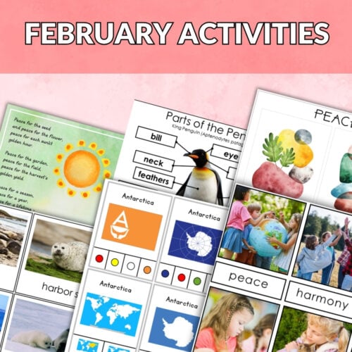 A collage showcases the February Bundle’s educational cards and worksheets with animals, vocabulary words, maps, a red ribbon marked “February Bundle” in the corner, and small red heart shapes decorating the top. Montessori Nature Printables