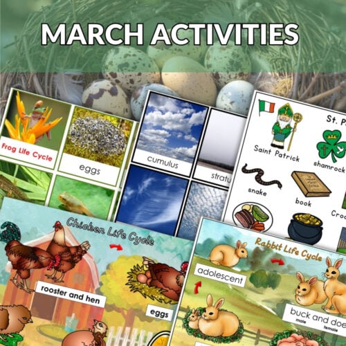 Collage featuring animal life cycles, cloud types, and holiday symbols, with a red “March Bundle” banner and a rabbit image in the background. Montessori Nature Printables