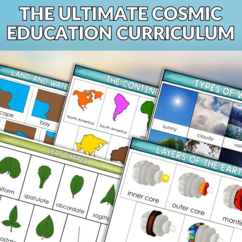 The Ultimate Cosmic Education Bundle: A Complete Nature Curriculum in Cards