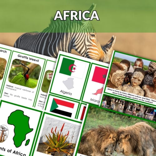 The Africa Continent Bundle includes educational cards and maps highlighting African countries, animals, and landmarks, shown with a red "Bundle Offer" banner on the image. Montessori Nature Printables