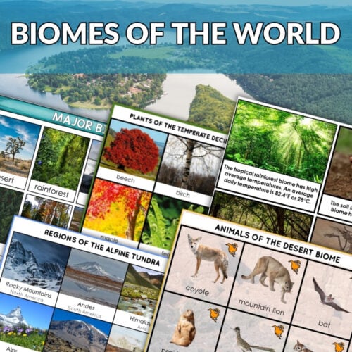 Discover the Biomes of the World Bundle: nature learning cards and a vivid aerial view of lake and forest, all highlighted by a bold red "Bundle Offer" banner—explore our exciting world!. Montessori Nature Printables