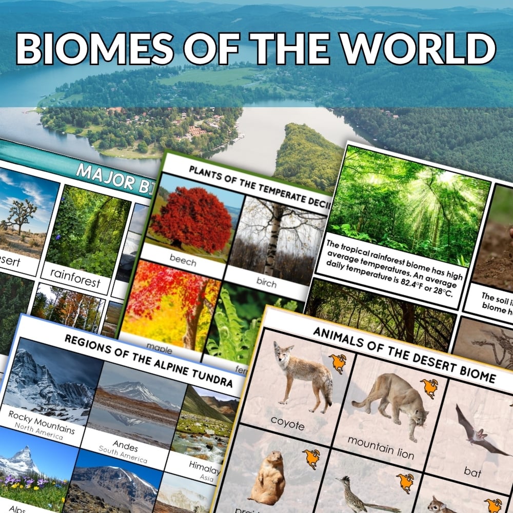 Discover the Biomes of the World Bundle: nature learning cards and a vivid aerial view of lake and forest, all highlighted by a bold red "Bundle Offer" banner—explore our exciting world!. Montessori Nature Printables