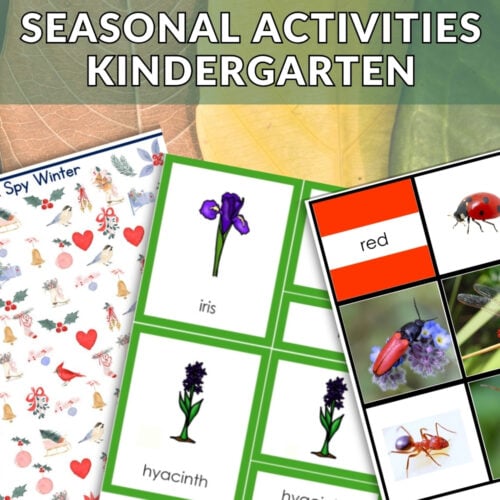 Three educational flashcard sheets from the Seasonal Activities Year Round Kindergarten Bundle overlap on leafy backgrounds; one shows birds and hearts, another features flowers, and the third displays insects and "red"—great for year-round learning. Montessori Nature Printables