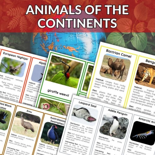 The Animals of the Seven Continents Bundle: 3 Part Cards & Facts is displayed with animal fact cards and a globe on green leaves, with a red "BUNDLE OFFER" banner across the top left corner. Montessori Nature Printables