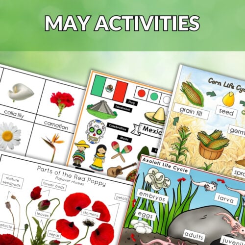 A collage of educational worksheets from the May Bundle, featuring flowers, Mexican culture, and life cycles of corn and axolotl, with a red "BUNDLE OFFER" banner in the corner. Montessori Nature Printables