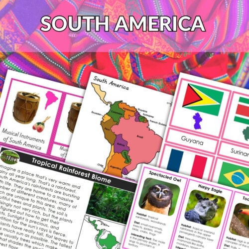 South America Continent Bundle