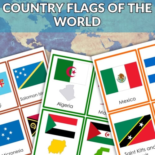 The "Country Flags of the Continents: Bundle" features flashcards of flags like Solomon Islands, Algeria, Mexico, and Sudan arranged on a world map background with a "BUNDLE OFFER" banner. Montessori Nature Printables