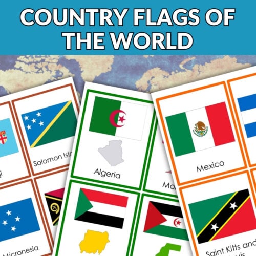 The "Country Flags of the Continents: Bundle" features flashcards of flags like Solomon Islands, Algeria, Mexico, and Sudan arranged on a world map background with a "BUNDLE OFFER" banner. Montessori Nature Printables