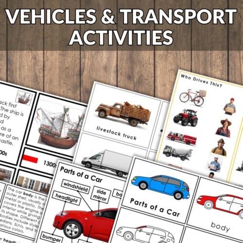 A collage shows educational vehicle worksheets over a modern train image, with a red "Transportation Bundle" banner across the top left corner. Montessori Nature Printables