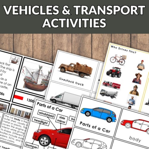 A collage shows educational vehicle worksheets over a modern train image, with a red "Transportation Bundle" banner across the top left corner. Montessori Nature Printables