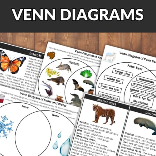 The Venn Diagram Bundle features worksheets on animals, insects, and habitats with engaging illustrations and text. Displayed on a wooden surface, a bold red "BUNDLE OFFER" banner highlights this educational resource. Montessori Nature Printables