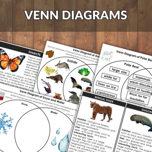 The Venn Diagram Bundle features worksheets on animals, insects, and habitats with engaging illustrations and text. Displayed on a wooden surface, a bold red "BUNDLE OFFER" banner highlights this educational resource. Montessori Nature Printables