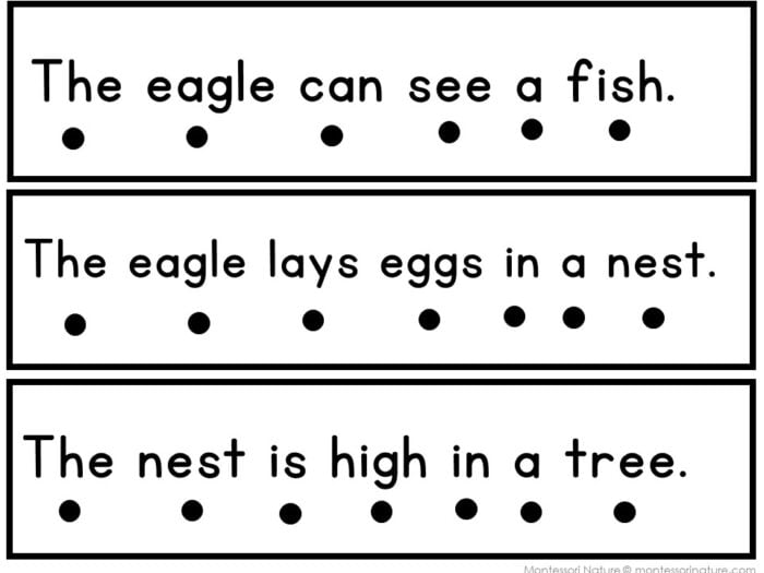 Eagles Sentence Strips Comprehension Booklet Phonics Reading with Tracing - Image 2