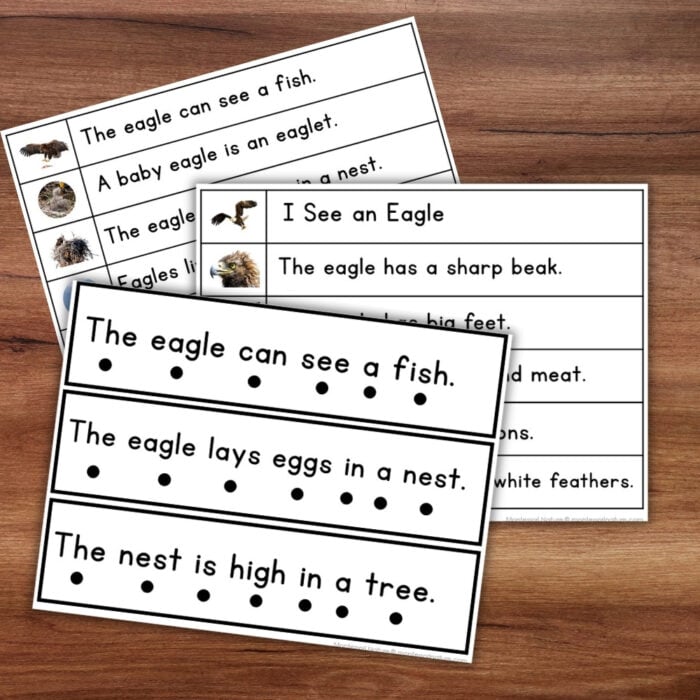 Eagles Sentence Strips Comprehension Booklet Phonics Reading with Tracing - Image 3