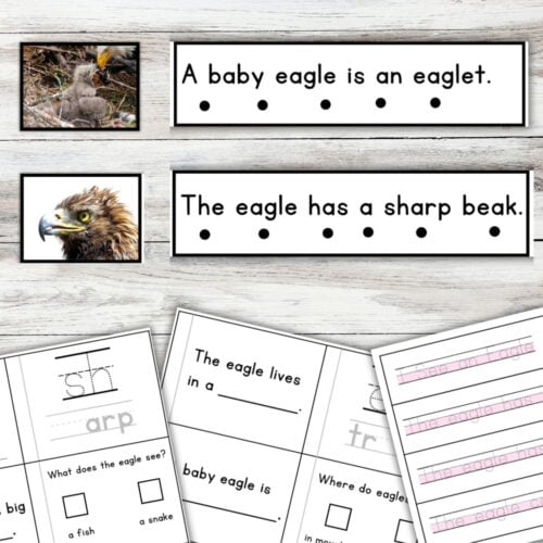 Eagles Sentence Strips Comprehension Booklet Phonics Reading with Tracing