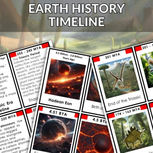 Earth History Timeline Bundle