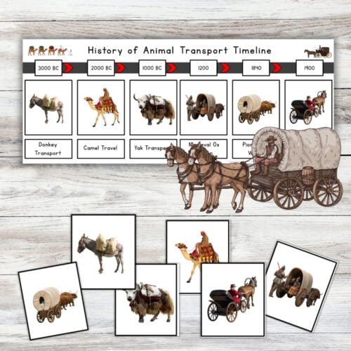 History of Animal Transport Timeline Cut Paste Activity Preschool Kindergaten