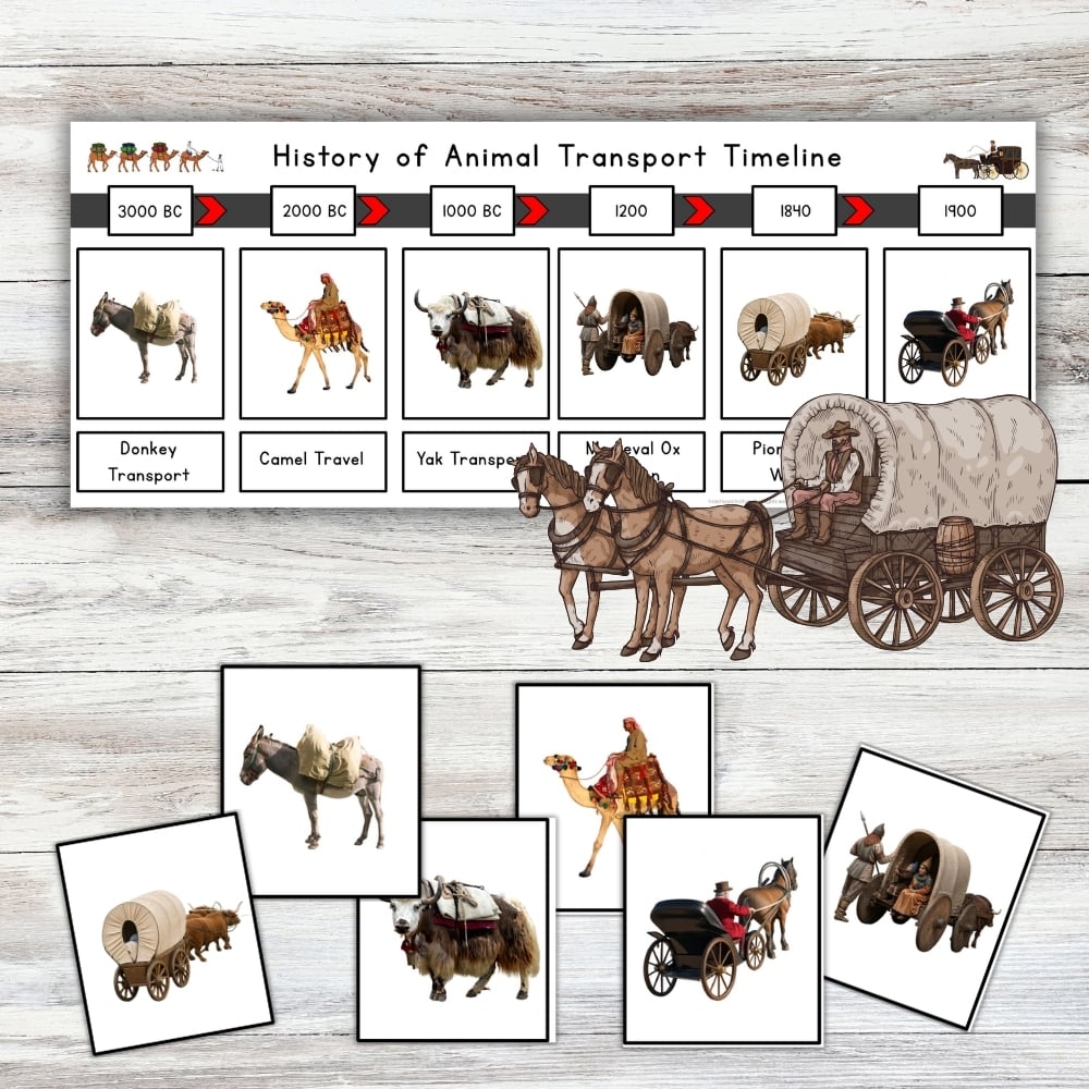 History of Animal Transport Timeline Cut Paste Activity Preschool Kindergaten