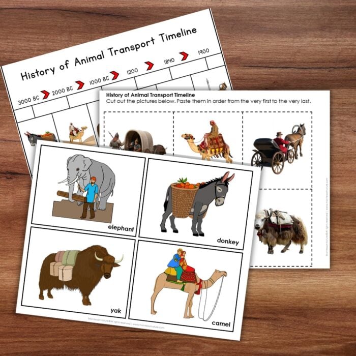 History of Animal Transport Timeline Cut Paste Activity Preschool Kindergaten - Image 2