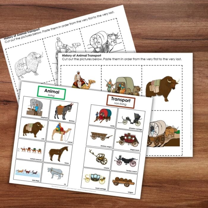 History of Animal Transport Timeline Cut Paste Activity Preschool Kindergaten - Image 3