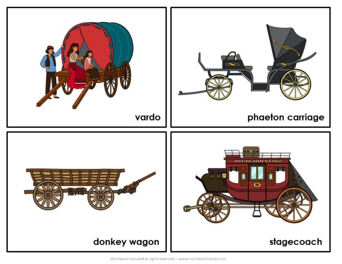 Four labeled illustrations of horse-drawn vehicles—a vardo, a phaeton carriage, a donkey wagon, and a stagecoach—each featuring unique designs and characteristics from the past, are included in the “Animal Transport History Timeline: Sort Sequencing Activity Blackline Preschool K,” making it ideal for preschool sequencing activities that explore the history of animal transportation. Montessori Nature Printable