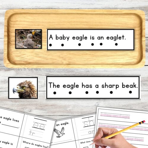A variety of eagle-themed educational worksheets, including the Eagles Sentence Strips Comprehension Booklet Phonics Reading with Tracing, two eagle photos, and engaging fill-in-the-blank and tracing activities, are arranged on a light wood surface. Montessori Nature Printable