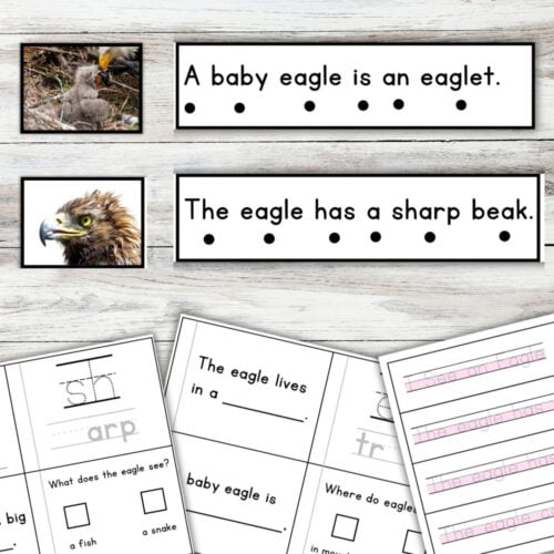 Eagles Sentence Strips Comprehension Booklet Phonics Reading with Tracing