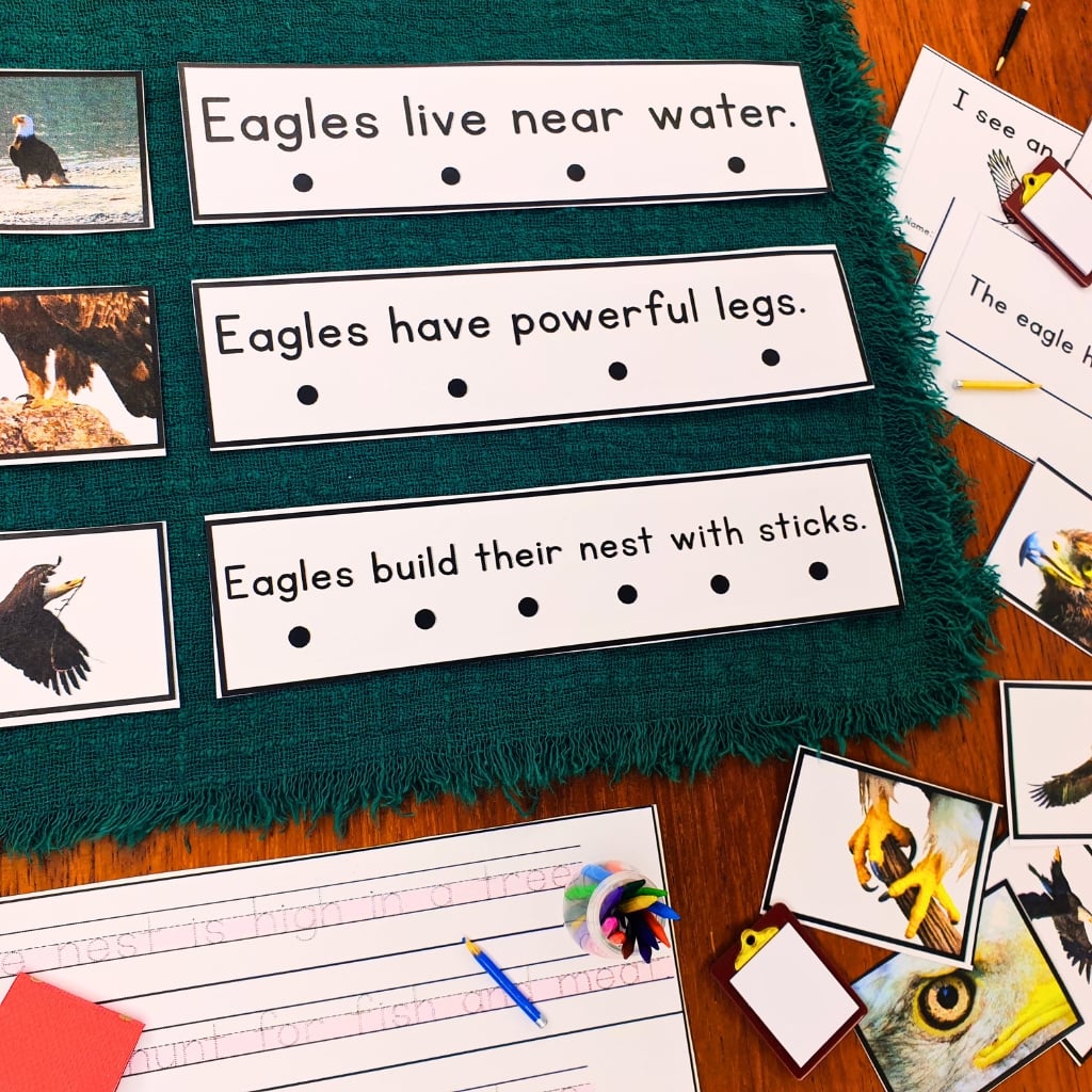 Eagles Sentence Strips Comprehension Phonics are displayed on a green mat with educational worksheets and small eagle-themed picture cards. Montessori Nature Printable