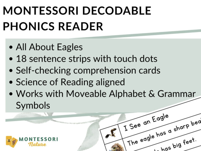Educational poster for Eagles Sentence Strips Comprehension Phonics, displaying product features and sentence strips for phonics practice. Montessori Nature Printable