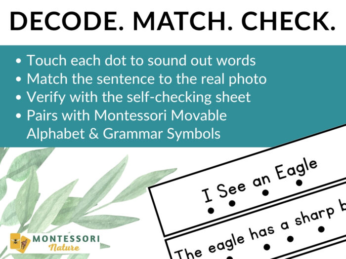 Eagles Sentence Strips Comprehension Phonics educational poster titled “DECODE. MATCH. CHECK.” showing phonics activities with two printed sentence strips and dots below each word. Montessori Nature Printable