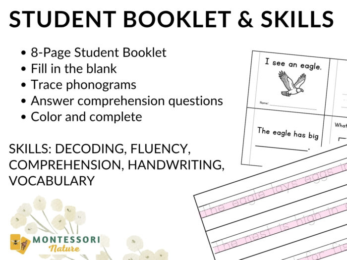 Eagles Sentence Strips Comprehension Phonics student booklet page featuring an eagle illustration, phonics practice, fill-in-the-blank sentences, comprehension questions, and writing lines. Montessori Nature Printable